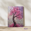 Cherry Blossom Serenity